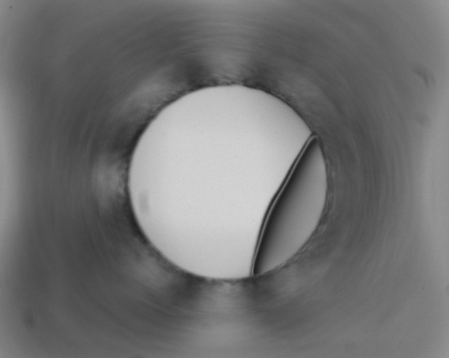 X0000113250768200910081318