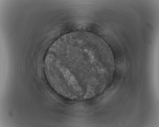 X0000113250769200910081318