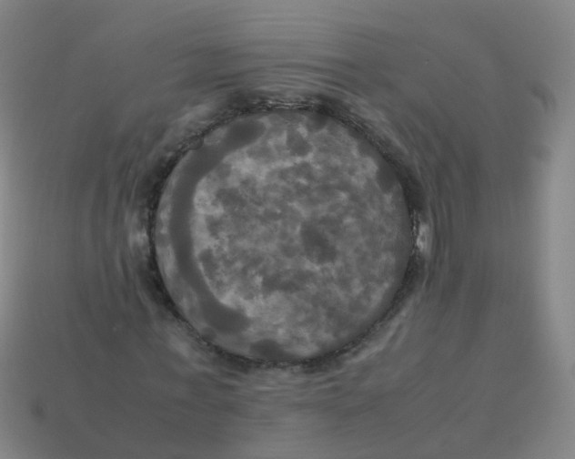 X0000113250771200910081318