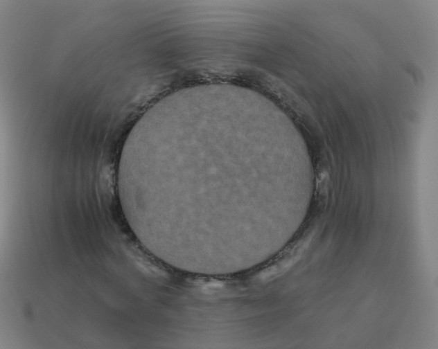 X0000113250772200910081318