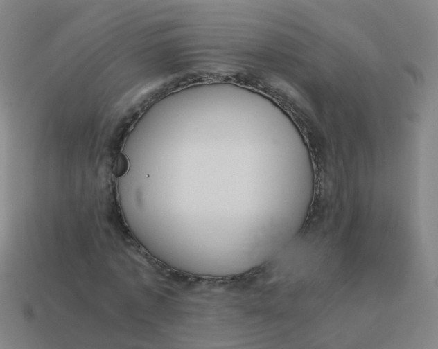 X0000113250773200910081318