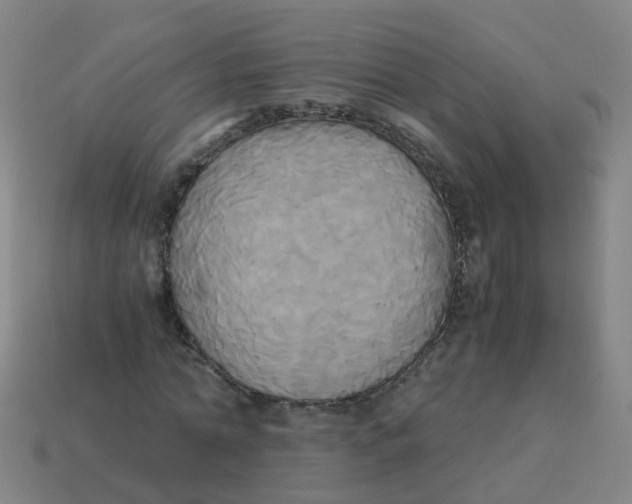 X0000113250774200910081318