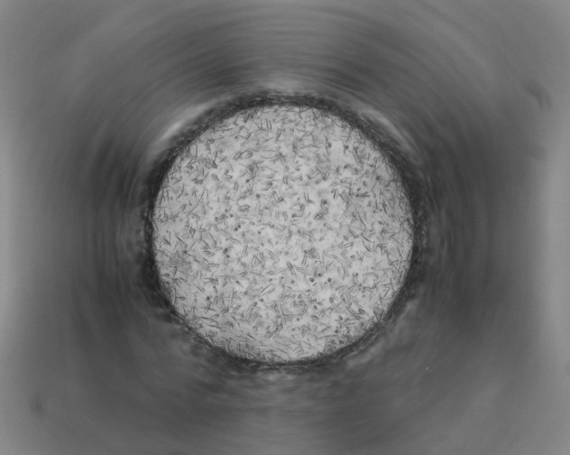 X0000113250776200910081318