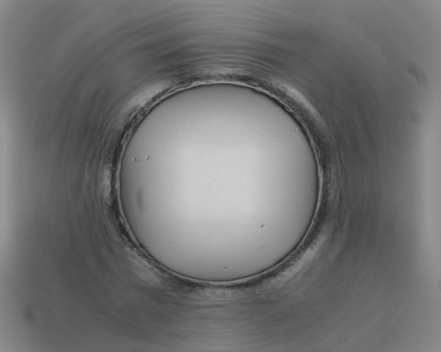 X0000113250777200910081318