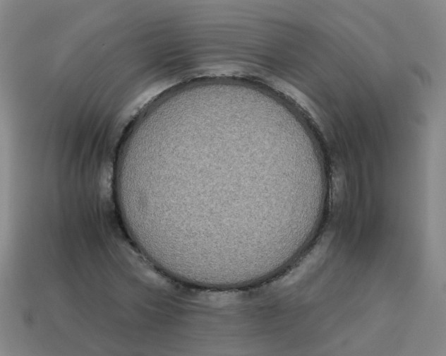 X0000113250778200910081318