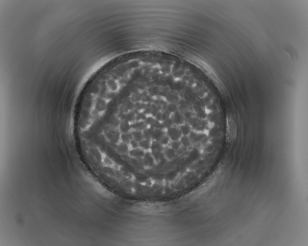 X0000113250780200910081318