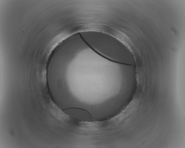 X0000113250781200910081318