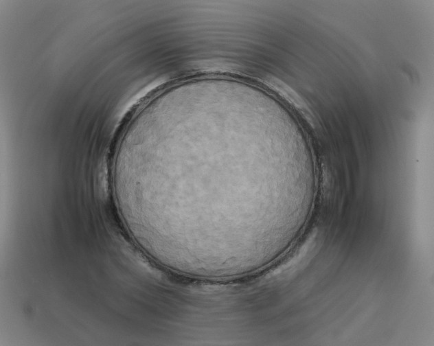 X0000113250782200910081318