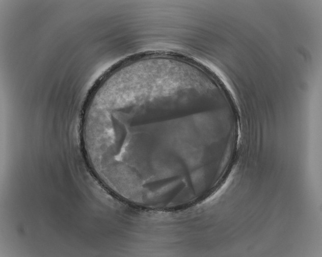 X0000113250783200910081318