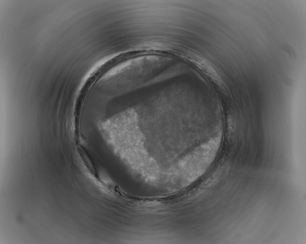 X0000113250784200910081318