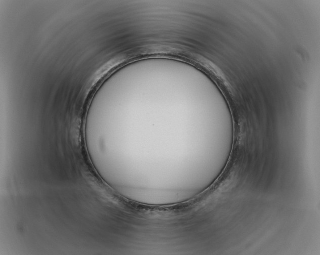 X0000113250786200910081318