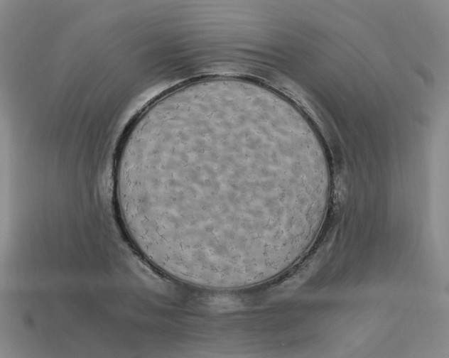 X0000113250787200910081317