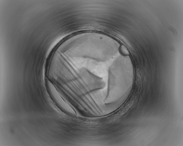 X0000113250788200910081317