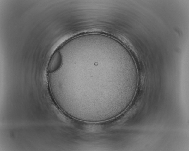 X0000113250789200910081317