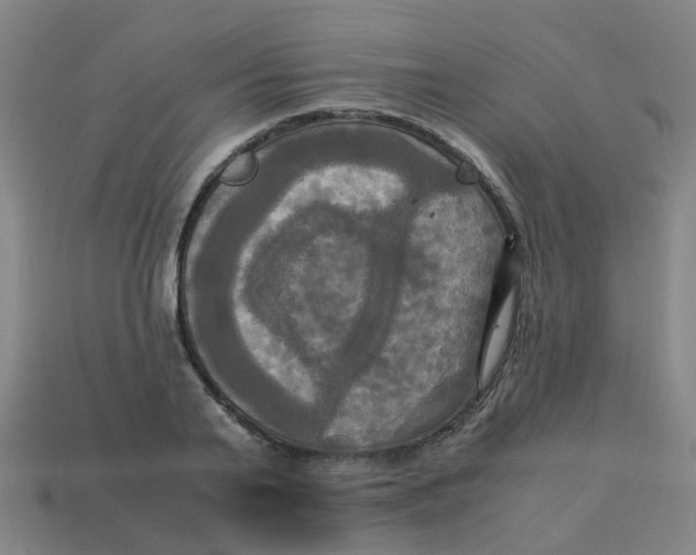 X0000113250791200910081317