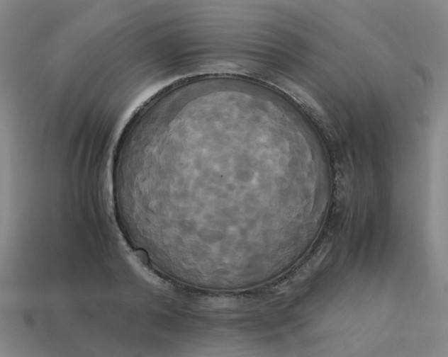 X0000113250792200910081317