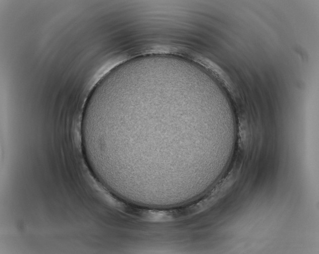 X0000113250794200910081317