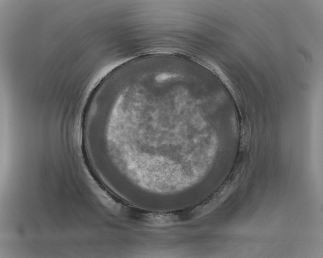 X0000113250795200910081317