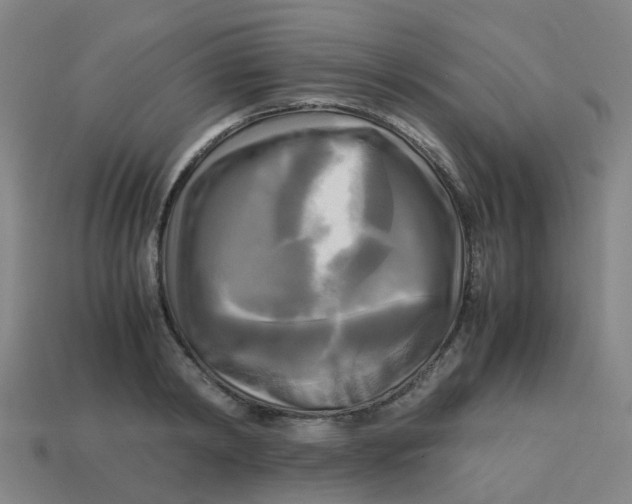 X0000113250798200910081317