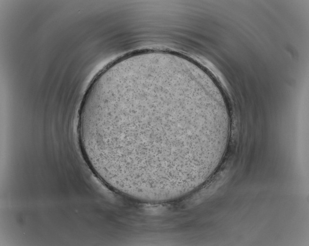 X0000113250799200910081317