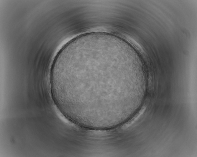 X0000113250800200910081317