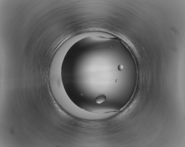 X0000113250801200910081317