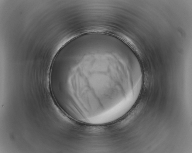 X0000113250802200910081317