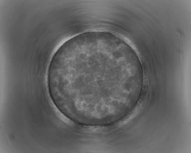 X0000113250803200910081317