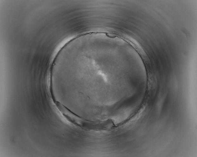 X0000113250804200910081317