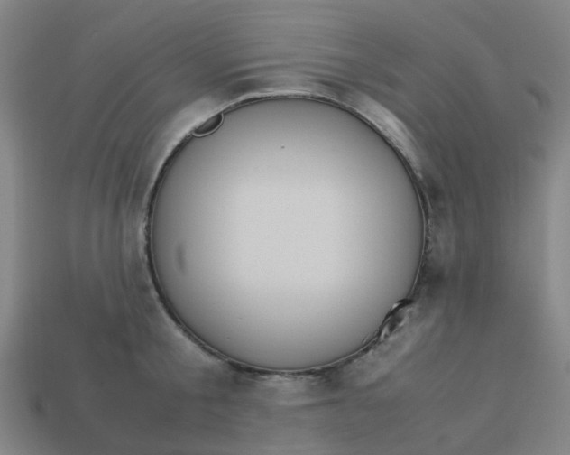 X0000113250805200910081317