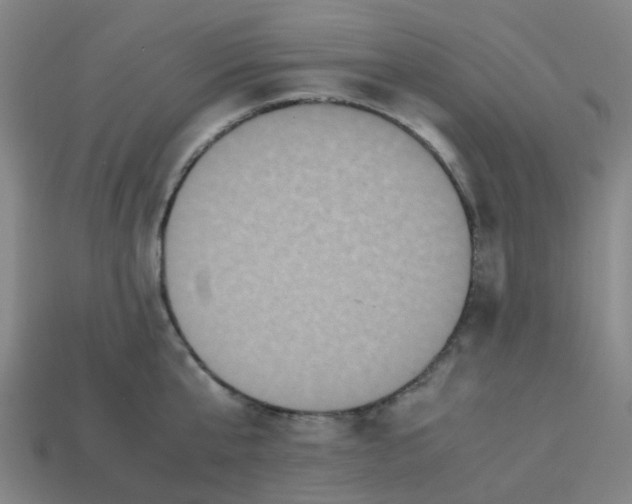 X0000113250807200910081317