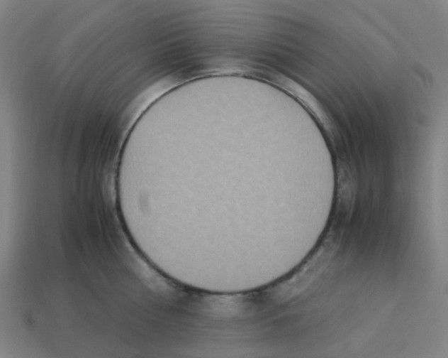 X0000113250810200910081317