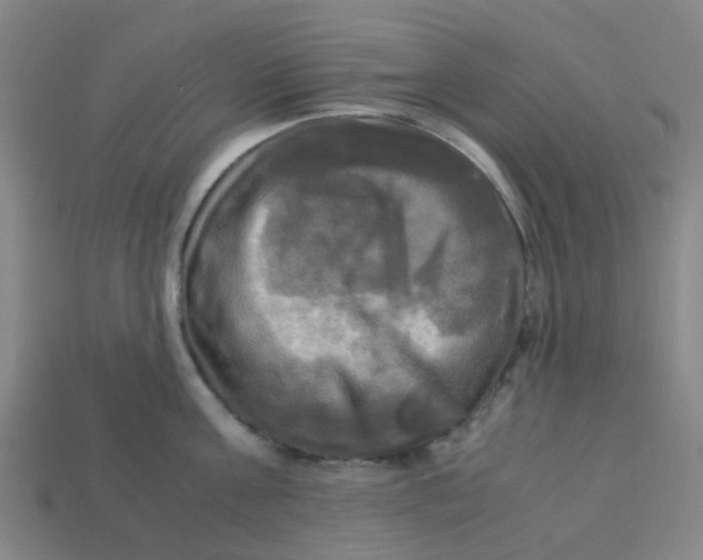 X0000113250811200910081317