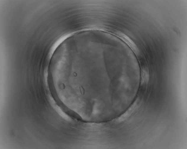 X0000113250812200910081317