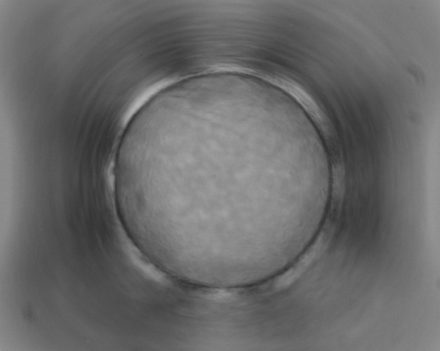 X0000113250814200910081317