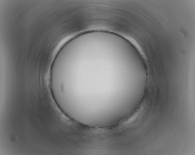 X0000113250815200910081317