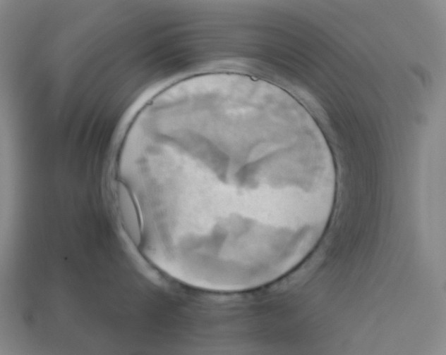 X0000113250816200910081317