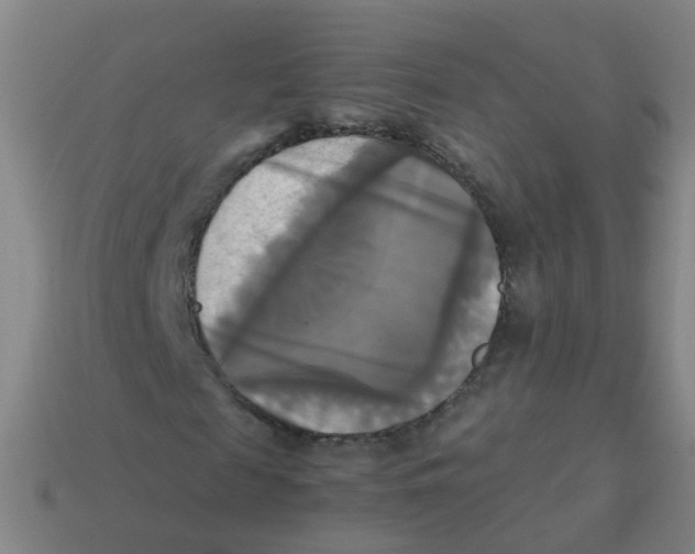 X0000113250817200910081317