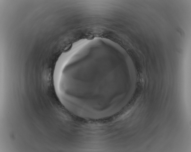 X0000113250818200910081317