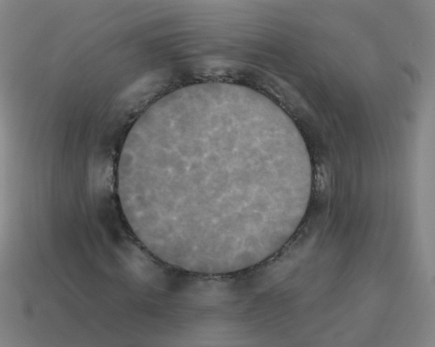 X0000113250820200910081317