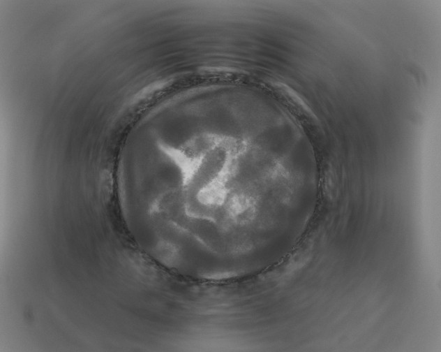 X0000113250821200910081317