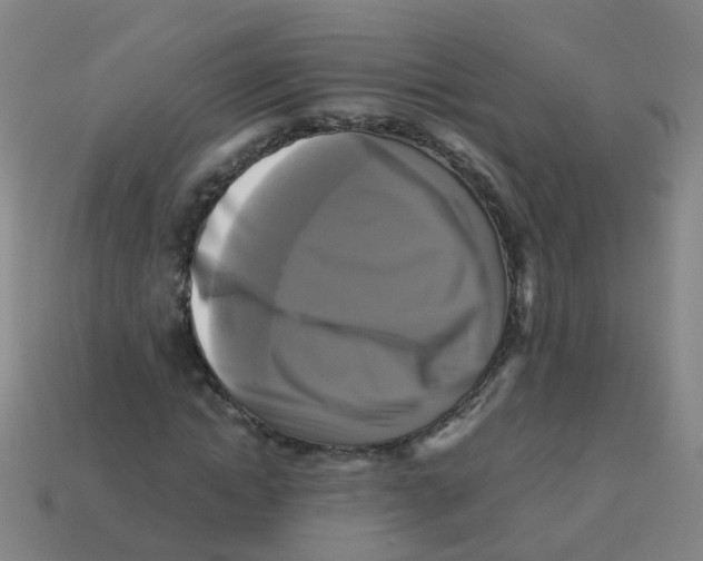 X0000113250822200910081317