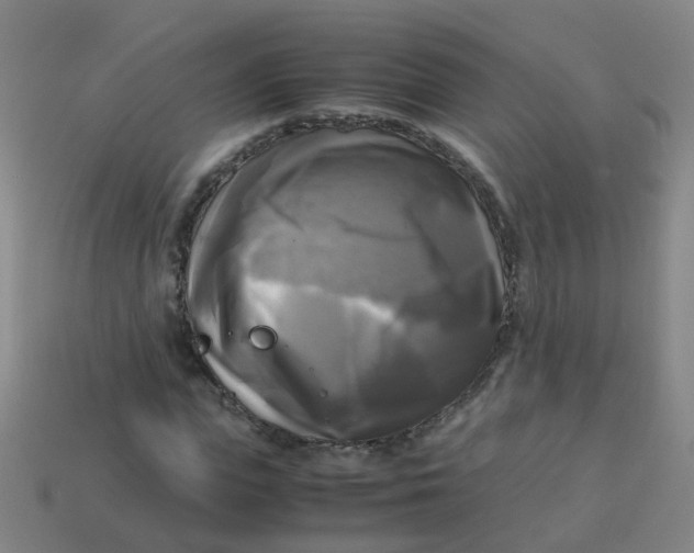 X0000113250823200910081317