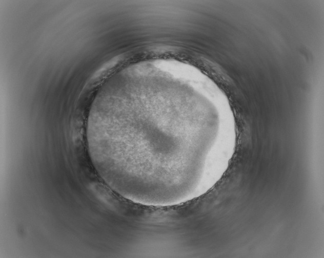 X0000113250824200910081317