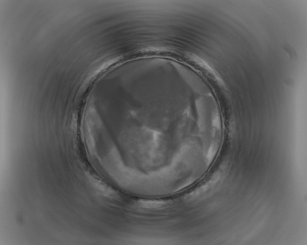 X0000113250825200910081317