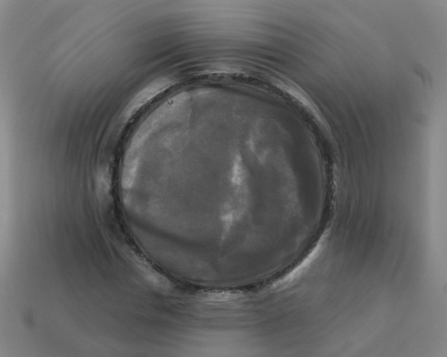 X0000113250826200910081317