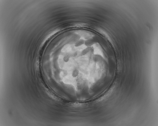 X0000113250827200910081317