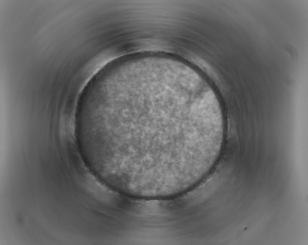 X0000113250828200910081317