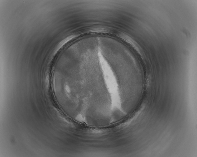 X0000113250829200910081317