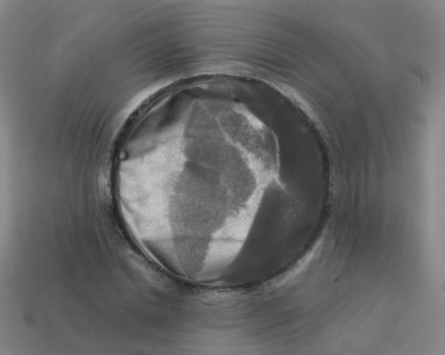 X0000113250830200910081317